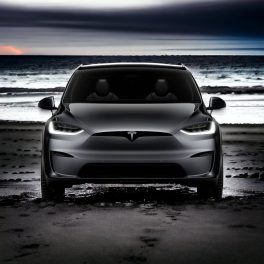 Model X